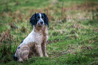 EdricCross07-12-20137447