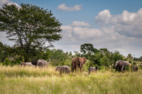 Kruger National Park, South Africa