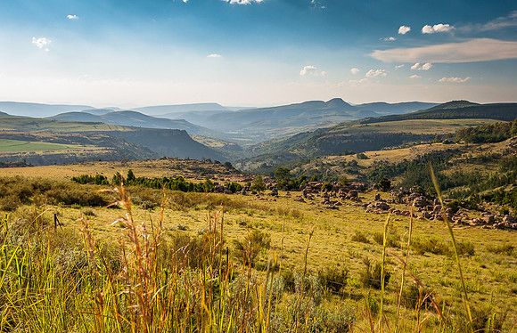EdricCross Kruger SA 13-02-2015 1140