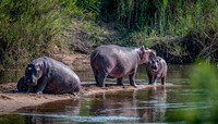 EdricCross Kruger SA 14-02-2015 1901-Edit