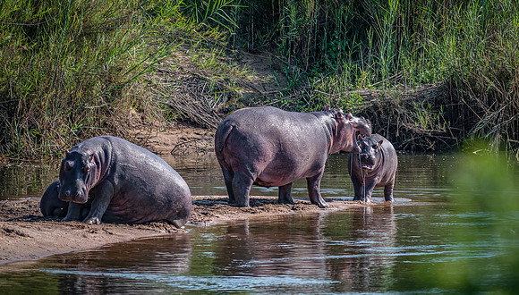 EdricCross Kruger SA 14-02-2015 1901-Edit