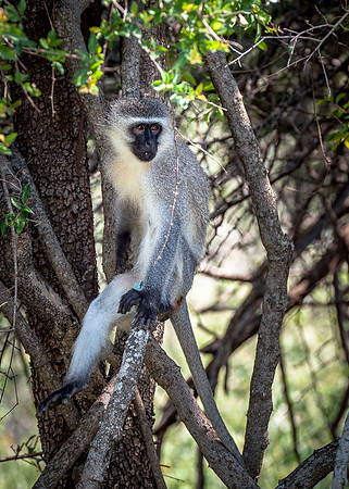EdricCross Kruger SA 14-02-2015 1206