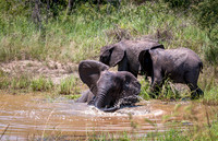 EdricCross Kruger SA 14-02-2015 1229