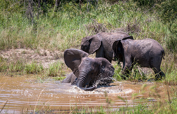 EdricCross Kruger SA 14-02-2015 1229