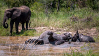EdricCross Kruger SA 14-02-2015 1242-2