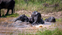 EdricCross Kruger SA 14-02-2015 1250