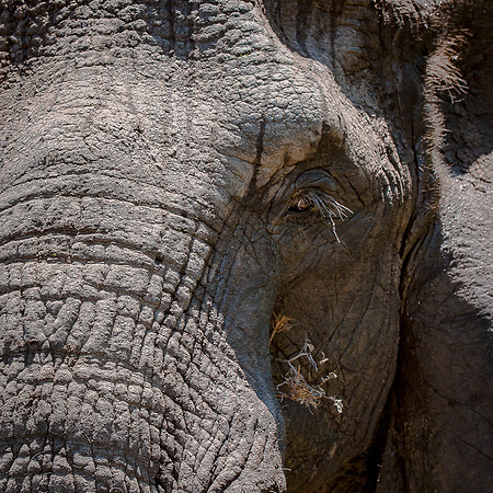 EdricCross Kruger SA 14-02-2015 1297