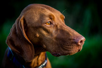 EdricCross05-10-20136285