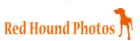 Red Hound Photos